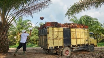 PTPN Bahas Masa Depan dan Peran Strategis Kelapa Sawit Menuju Indonesia Emas 2045