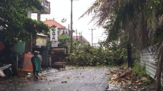 Waspada, Angin Kencang 60 Km/Jam Terjang Bali 3 Hari Kedepan