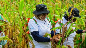 BRI Peduli Berdayakan Petani Kalimantan Timur: Atasi Lahan Kritis, Tanam Durian &amp; Serap Karbon