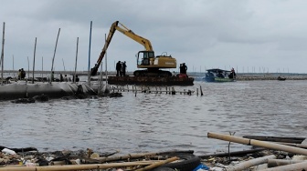 Pemerintah Bongkar Pelanggaran PT TRPN dalam Kasus Pagar Laut Bekasi