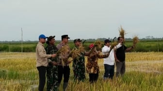 Panen Perdana di Lahan Baru Dadahup, Bukti Nyata Keberhasilan Ekstensifikasi Lahan Pertanian