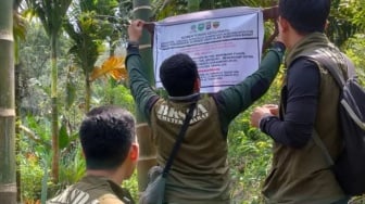 BKSDA Sumbar Segel 3,5 Hektare Lahan Perambahan Kawasan Suaka Margasatwa Malampah Pasaman, Pelaku Diburu!