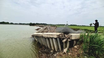 Ambrolnya Tebing Sungai Bengawan Solo di Bojonegoro Disebut Akibat Banjir