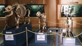 Museum Zoologi, Tempat Terbaik untuk Melihat Ragam Koleksi Fauna di Bogor