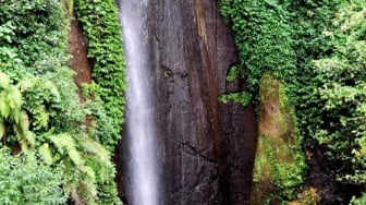 Wisata Alam Curug Nangka, Persona Air Terjun di Tengah Keasrian Kota Bogor