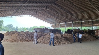 Inspeksi Mendadak! Kementan Periksa Tata Kelola 71 Perusahaan Tepung Tapioka di Lampung