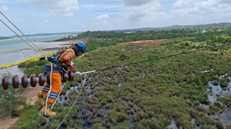 Keandalan Listrik Meningkat, PLN Catat Penurunan Durasi dan Frekuensi Gangguan di 2024