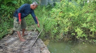 Warga Ngampel Bojonegoro Mengeluh Sawahnya Diduga Terembes Limbah dari Pengeboran Minyak