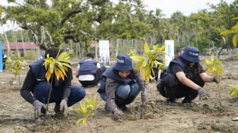 Hijaukan Pesisir, PT PNM Bersama Relawan Bakti BUMN Tanam 1.000 Mangrove