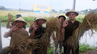 Bahaya di Balik Babinsa Jadi 'Sales' Beras Bulog: Dwifungsi TNI atau Solusi Swasembada?