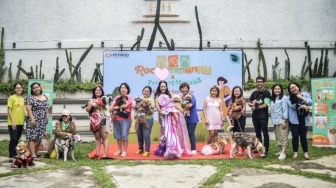 Cleofest dan Roccomunity: Ruang Interaksi Seru bagi Pecinta Kucing dan Anjing