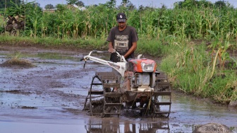 Pupuk Melimpah, Petani Semringah