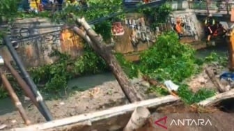 BNPB Imbau Warga Jakarta Hindari Lokasi Kemiringan Tajam Saat Hujan