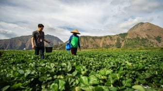 Bukti Keberpihakan Nyata untuk UMKM dan Ekonomi Rakyat, BRI Salurkan KUR Rp27,72 Triliun dalam 2 Bulan