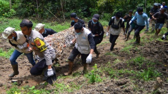 Dokter hewan dan tim gabungan mengevakuasi seekor harimau sumatera (Panthera tigris sumatrae) yang telah dibius di hutan Nagari Tigo Balai, Matur, Agam, Sumatera Barat, Rabu (12/3/2025). [ANTARA FOTO/Iggoy el Fitra/Spt]