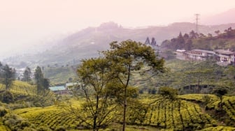 4 Tempat Bukber Dekat Puncak Bogor yang Asri dan Mudah Diakses