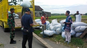 Jelang Puncak Panen, BULOG Kediri Realisasikan Penyerapan Gabah & Beras Petani Terbesar di Jatim