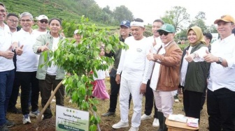 Gubernur Jabar Tanam 50.000 Bibit Pohon untuk Hijaukan Kawasan Puncak Bogor