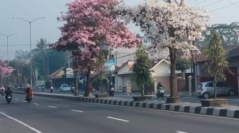 3 Jalur Alternatif Mudik ke Magelang Tanpa Macet dari Semarang, Jogja dan Purwokerto