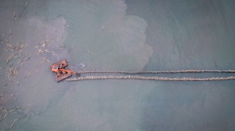 Foto udara pekerja menggunakan alat berat saat membongkar pagar laut di pesisir laut Desa Kohod, Kabupaten Tangerang, Banten, Kamis (17/4/2025). [ANTARA FOTO/Putra M. Akbar/nym]