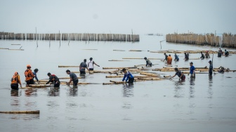 Petugas gabungan bersama nelayan mengumpulkan bambu dari pembongkaran pagar laut di pesisir laut Desa Kohod, Kabupaten Tangerang, Banten, Kamis (17/4/2025). [ANTARA FOTO/Putra M. Akbar/nym]