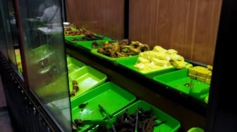 Sambal Goang yang Super Pedas, Pecel Lele 5 Saudara Primadona Baru Jambi