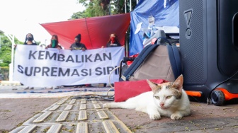 Sejumlah aktivis beraktivitas di dalam tenda dalam kegiatan Piknik Melawan di Depan Gerbang Pancasila DPR RI, Jakarta, Senin (21/4/2025). [Suara.com/Alfian Winanto]