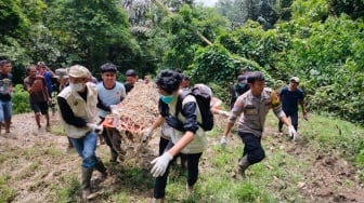 Harimau Sumatera Berulangkali Teror Warga Agam, 11 Konflik Satwa Liar Tercatat Selama 4 Bulan!