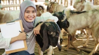 Contoh Proposal Qurban Idul Adha Lengkap dari Pendahuluan, Rincian Kegiatan hingga Penyaluran