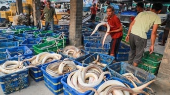 Pertumbuhan Ekonomi Indonesia Melambat, Hanya Tumbuh 4,87% pada Triwulan I 2025