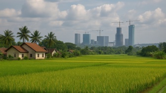 Babulu Didorong Jadi Dapur Pangan IKN, Mentan Dijadwalkan Kunjungi Lokasi