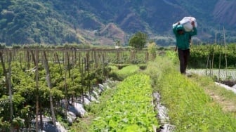 Alih Fungsi Lahan di NTB Diperketat