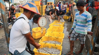 Pekerja melakukan bongkar muat ikan di Dermaga Pelabuhan Muara Angke, Jakarta, Selasa (6/5/2025). [Suara.com/Alfian Winanto]