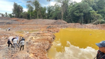 Unmul Desak Penegakan Hukum Tambang Ilegal di Hutan Pendidikan