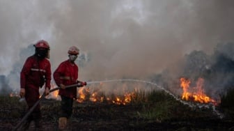 Cegah Karhutla, Menteri KLH Imbau Pengusaha Kelapa Sawit Berkoordinasi dengan GAPKI