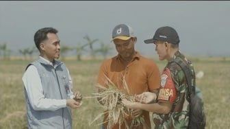 Stok Bulog Tembus 3,6 Juta Ton: Serapan Tembus 2.000.524 Ton Setara Beras
