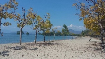 Pesona Pantai Atapupu NTT, dari Pasir Putih hingga Sunset Memukau