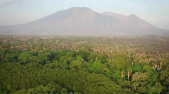 Taman Nasional Baluran, Menyaksikan Persona Hutan Musim hingga Savana Bekol