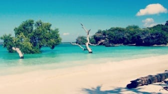 Pantai Oeseli, Persona Pantai Berpasir Putih di Nusa Tenggara Timur