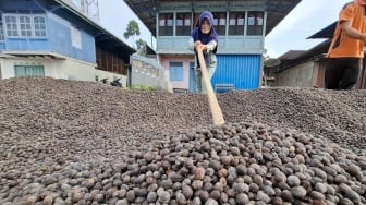 Koperasi Merah Putih di Lampung Diharapkan Jadi Mesin Pendorong Ekonomi Desa