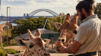 Profil dan Harga Tiket Masuk Taronga Zoo Sidney, Viral karena Ada Replika Desa Indonesia