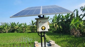 Pertamina Kembangkan Energi Transisi, Dorong Kesejahteraan 408 Petani di Desa Uma Palak