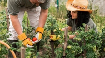 9 Tips Berkebun Menurut Para Orang Tua, Terbukti Manjur Sampai Sekarang