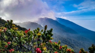 Gunung Dempo Ramai Saat Liburan, Pendaki Wajib Tahu Aturan Terbaru Ini