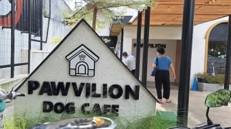 Pawvilion Dog Cafe, Rekomendasi Tempat Nongkrong Seru Bareng Anjing Lucu