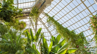 IndonesiaBelanda Jalin Kolaborasi Hortikultura Berbasis 'Greenhouse'