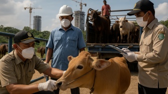 Ternak Masuk Wilayah IKN Diperiksa Ketat, PPU Pastikan Daging Kurban Aman