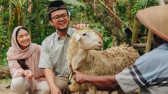 7 Tips Memilih Hewan Qurban yang Sehat dan Sesuai Syar'iat