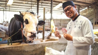 Hewan Kurban Sapi untuk 7 Orang atau 7 Keluarga? Ini Panduannya Menurut Islam