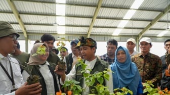 Jadi Pusat Penghijauan di NTB, Menhut Targetkan 5 Juta Bibit Persemaian di Mandalika